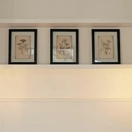 Dom Vaissette Appartement